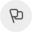 Flag icon