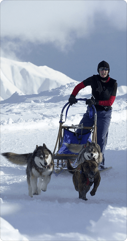 NZFSS historical event