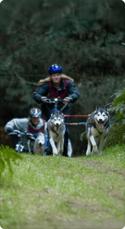 NZFSS member activity