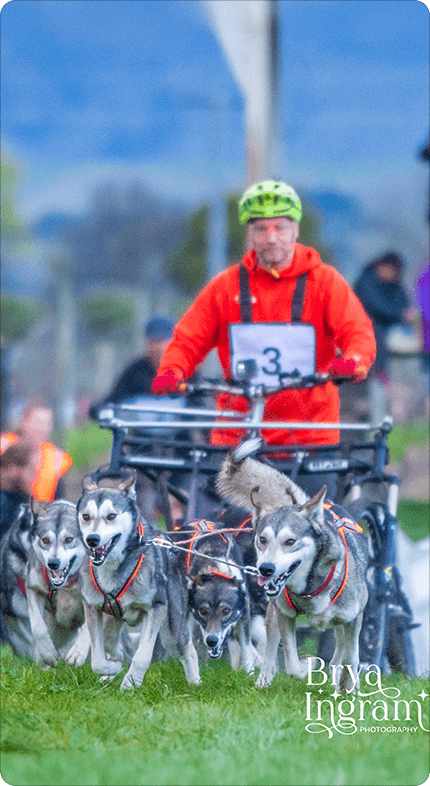NZFSS team event